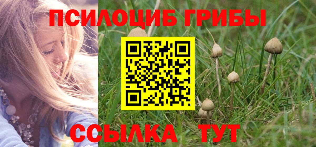 Прохладный  Псилоцибиновые грибы MAGIC MUSHROOMS  Вход с VPN 